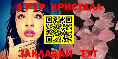 молекула духа Кингисепп