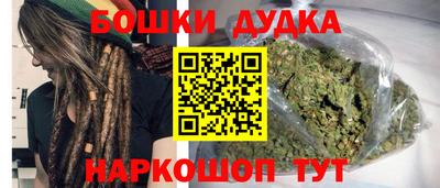 молекула духа Кингисепп