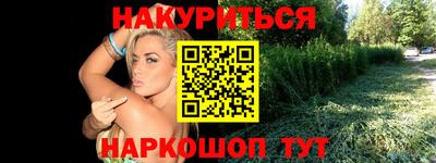 молекула духа Кингисепп