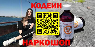 молекула духа Кингисепп
