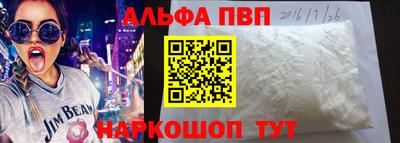 молекула духа Кингисепп