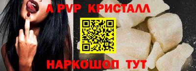 молекула духа Кингисепп
