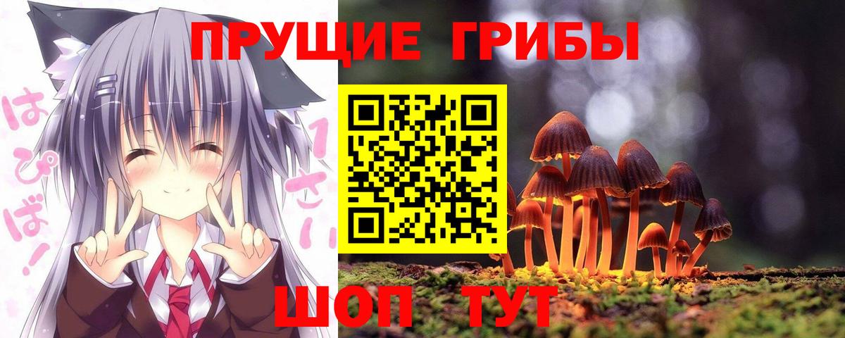 Галлюциногенные грибы Psilocybine cubensis  Вход с VPN  Галлюциногенные грибы Magic Shrooms  Котлас 