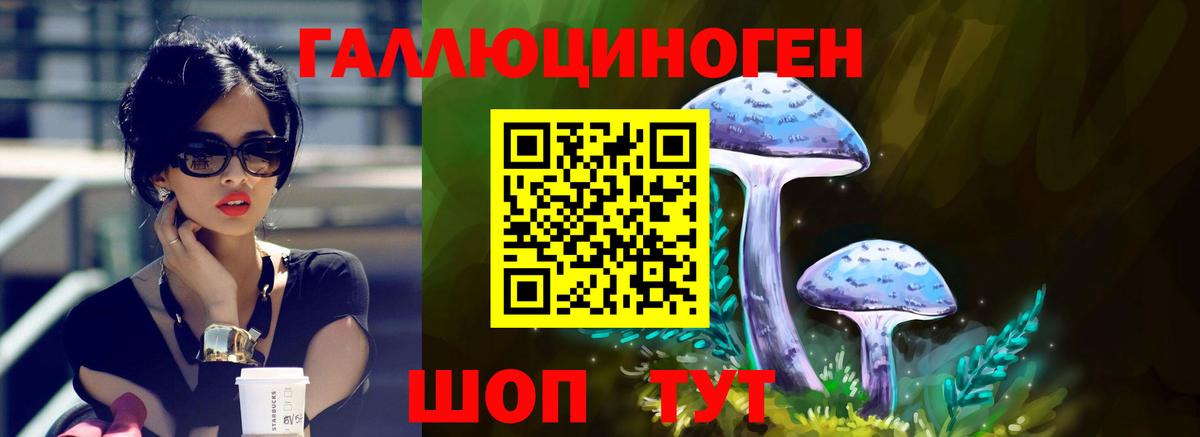 Галлюциногенные грибы прущие грибы Котлас